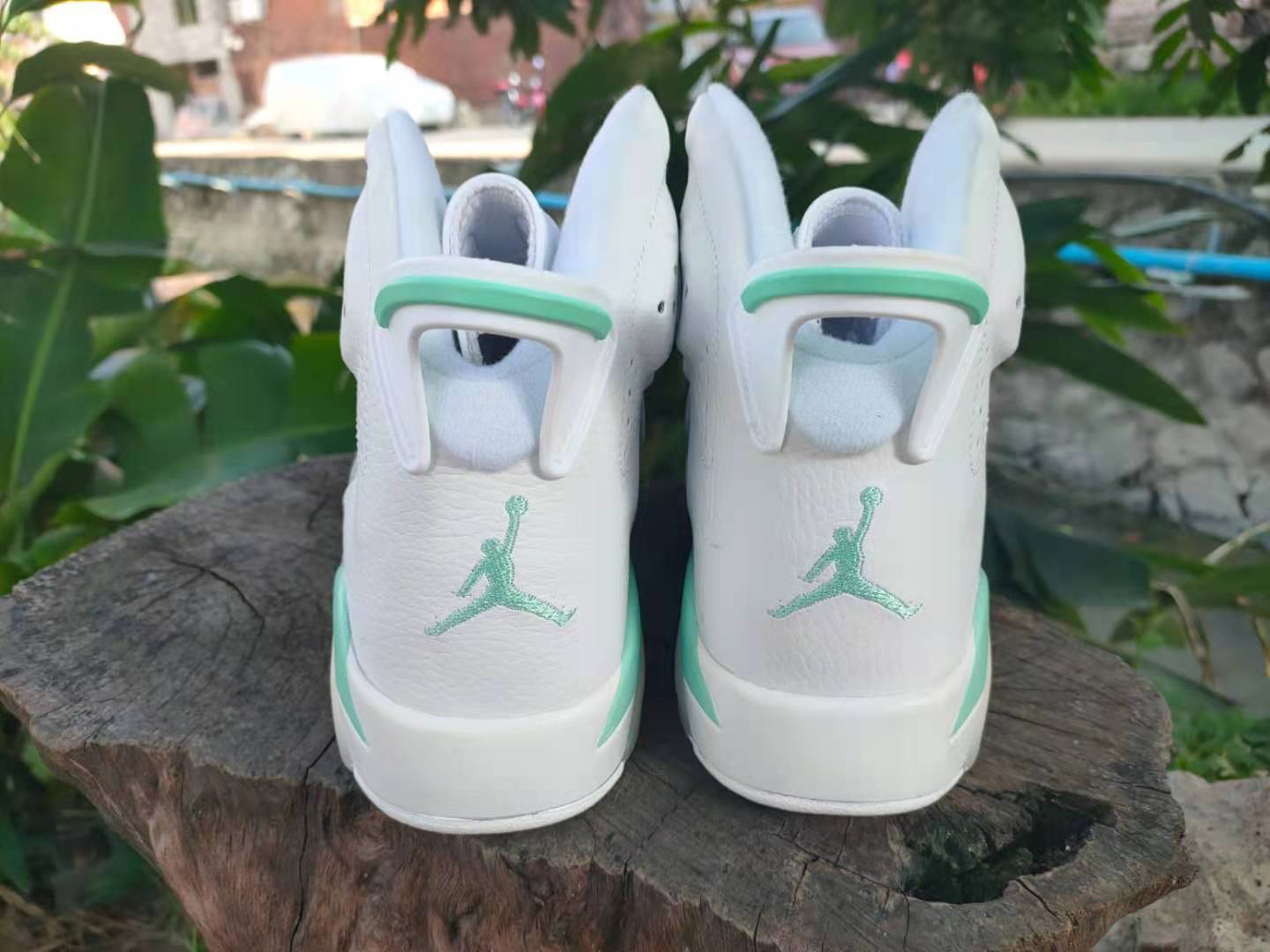 jordan air jordan 6 retro